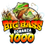 big-bass-bonanza-1000.de favicon
